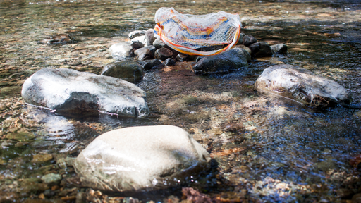 A woven bag in a river.