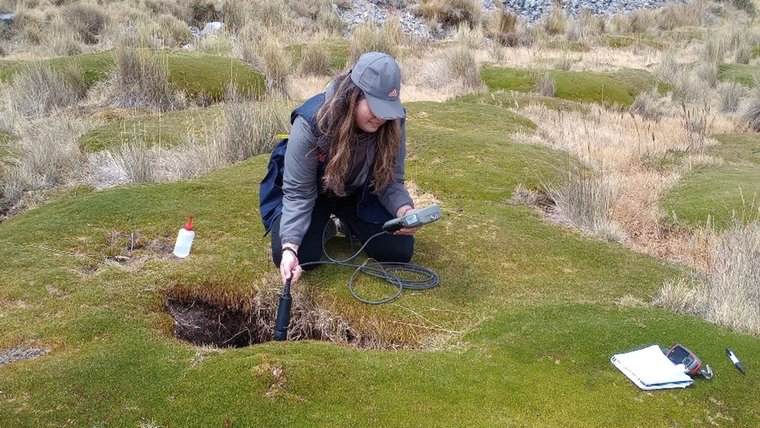Collection pH, dissolved oxygen and electric conductivity data from bofedal