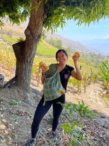 Ping loves spending time on her host family's farm, a “sprawling amalgamation of fruit surprises.”