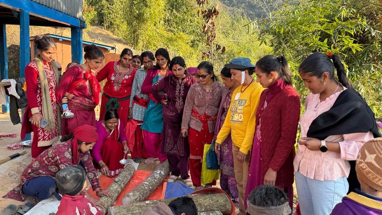Nepali women learn about shiitake mushroom cultivation.