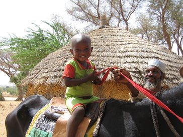 A child atop a horse in Niger.