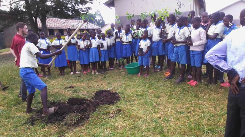 Volunteer plants trees with children