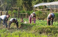 Bio-Intensive Gardening in Nepal