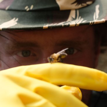 Michael during a traditional honey hunt, with giant Himalayan honeybee.