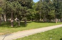 green landscapes