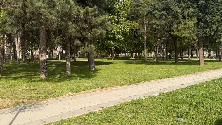 green landscapes