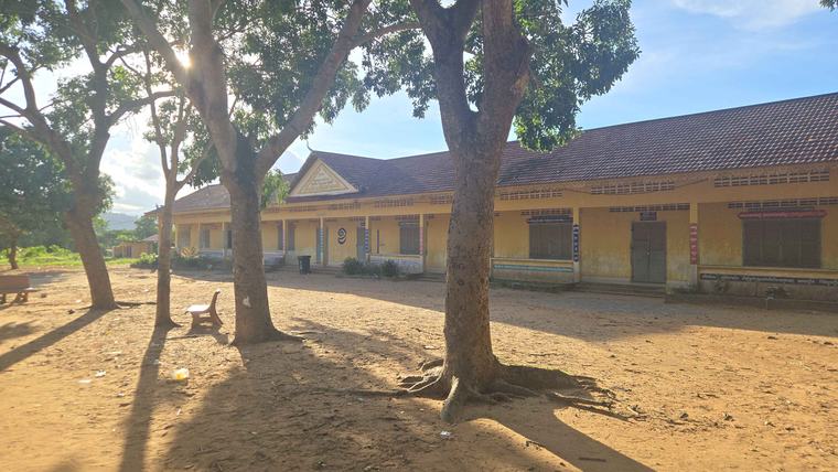school