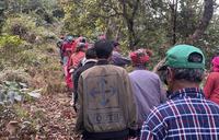 people walking through forest