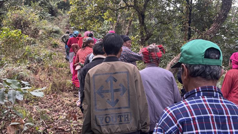 people walking through forest