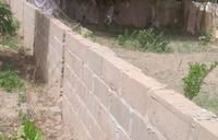 cement wall