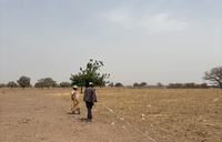 people walking