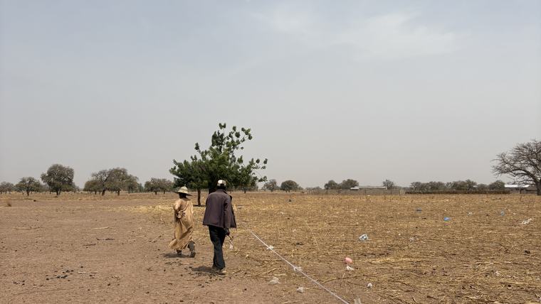 people walking