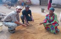 people in rice mill