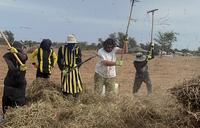 workers in farm field