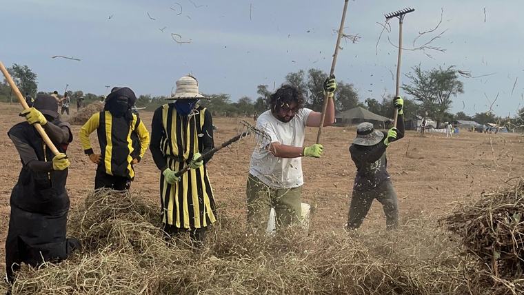 workers in farm field