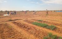 farm land