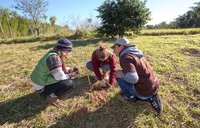Tree plantation at  Paraguay Verde Camp
