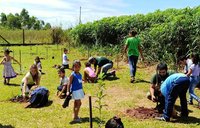 Tree Planting