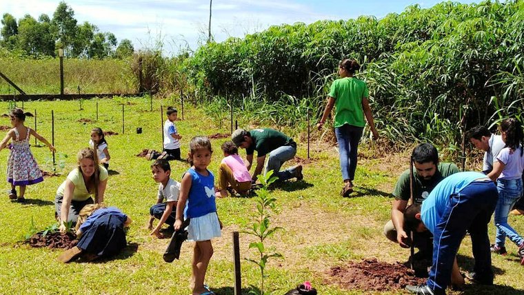 Tree Planting