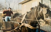 A man drives a horse-drawn carriage.