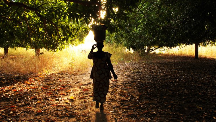 Finding 'teranga' from Senegal to Paris