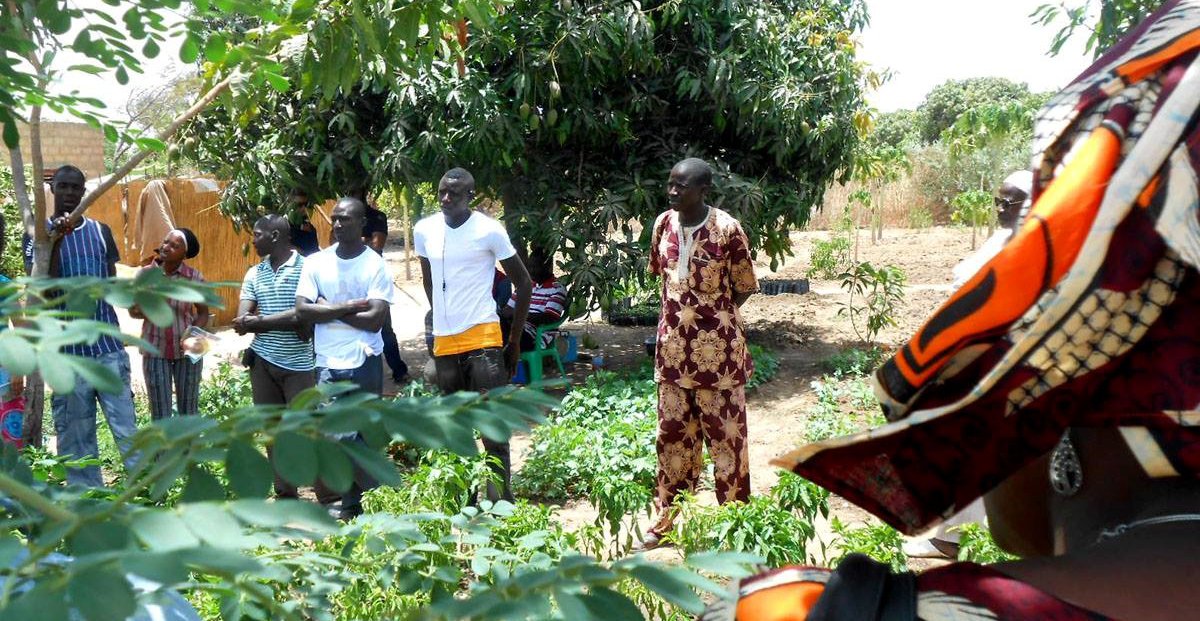 Peace Corps Senegal supports Master Farmers during COVID-19 pandemic