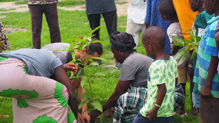 Planting a mango tree with members of the community in The Gambia.
