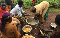 Preparing orange fleshed sweet potato
