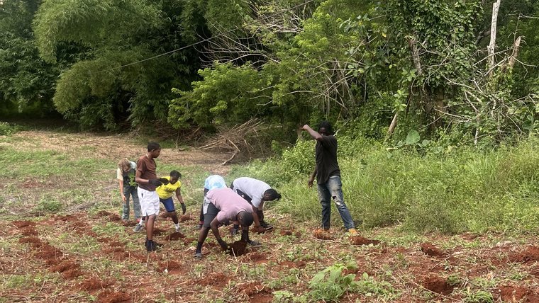 Transplanting tomato plants with Deaf students in Jamaica.