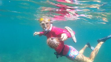A female snorkeler uses tongs to pick up spikey marine life