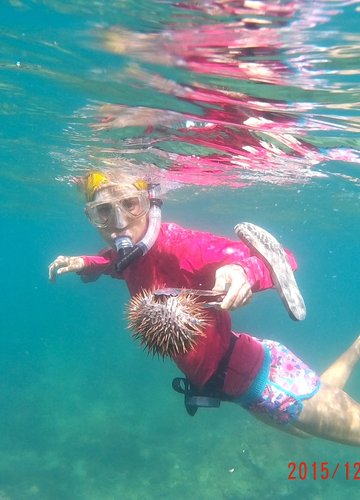 A female snorkeler uses tongs to pick up spikey marine life