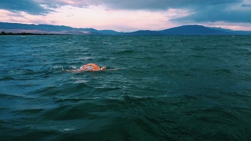 Sarah D'Antoni swim