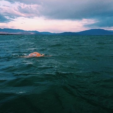 Sarah D'Antoni swim