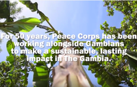 SARJO: A Peace Corps The Gambia Anniversary Story