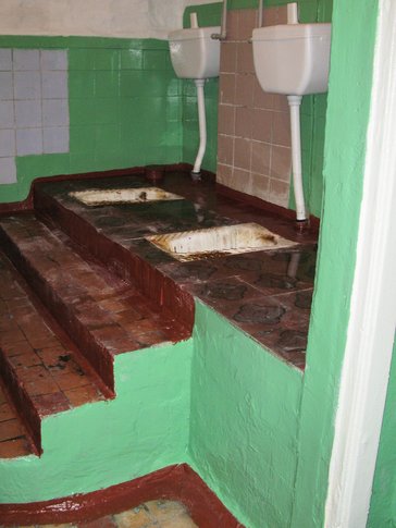 School toilets in Ukraine were typically not accessible for people with disabilities in 2010, when Caroline served.