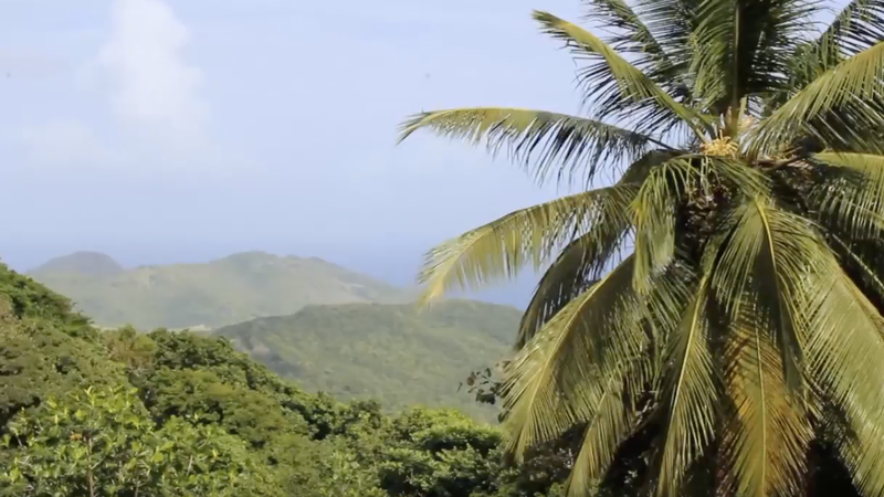 WATCH: Highlighting home in St. Lucia