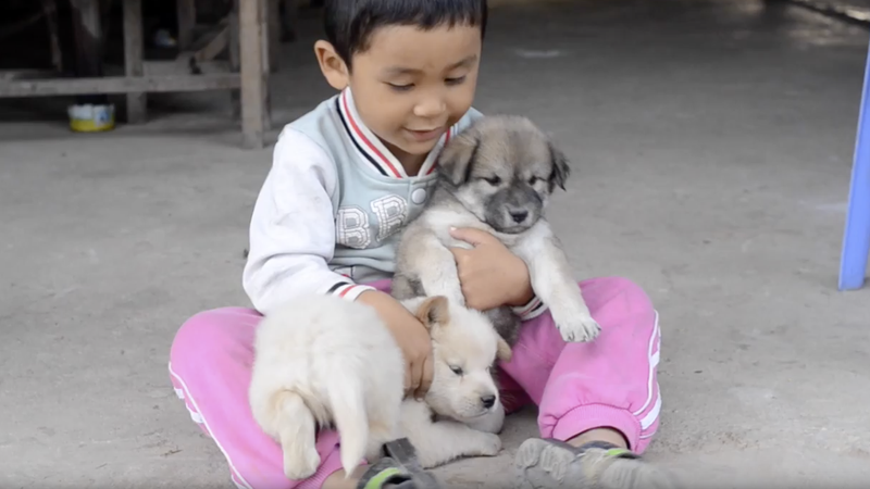 VIDEO: Highlighting home in Cambodia