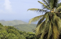 WATCH: Highlighting home in St. Lucia
