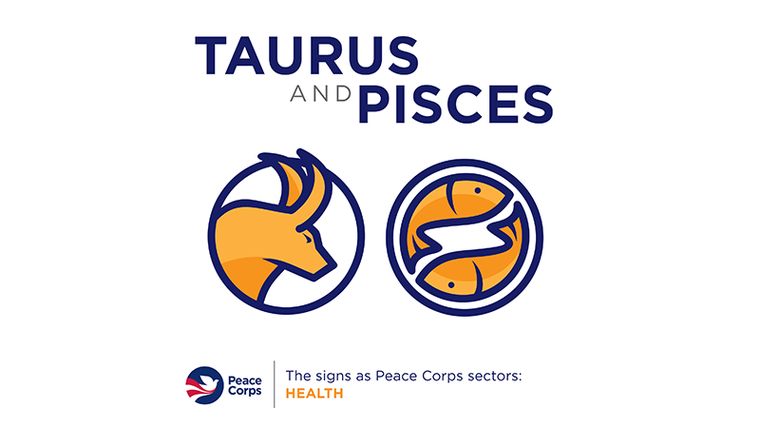 Taurus and Pieces
