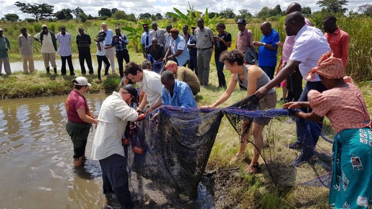 demonstration of fish farming