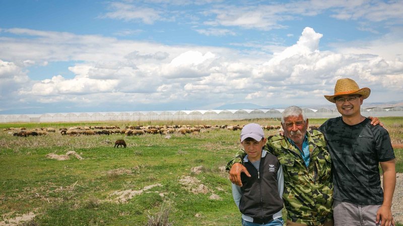 Shepherding in Armenia