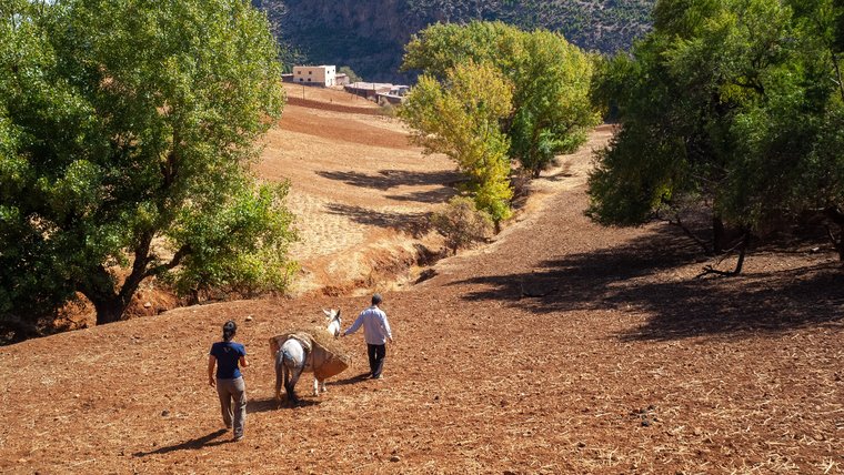 Sumona walking with a local in Morocco