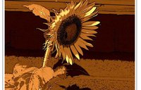 A photo Narney took of a sunflower to accompany his poem.