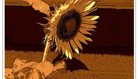 A photo Narney took of a sunflower to accompany his poem.