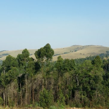 Catherine Dell serves as a Global Health Service Partnership Volunteer in Swaziland.