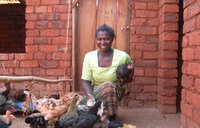Agricultural Economics Volunteer (Tanzania)