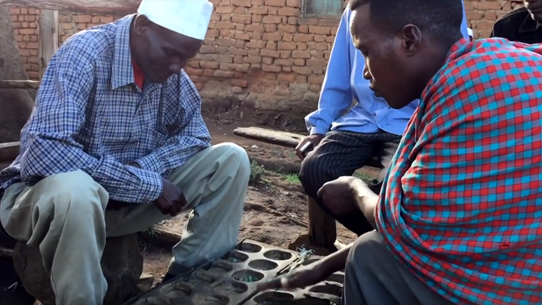 VIDEO: A day in the life in Tanzania