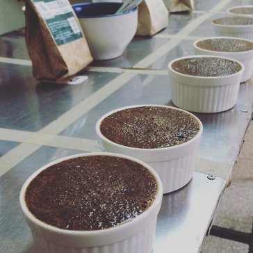Cupping coffee