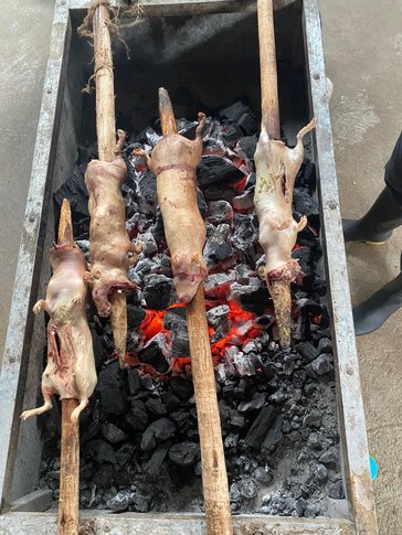 Roasting a local specialty, guinea pig, during Carnival.