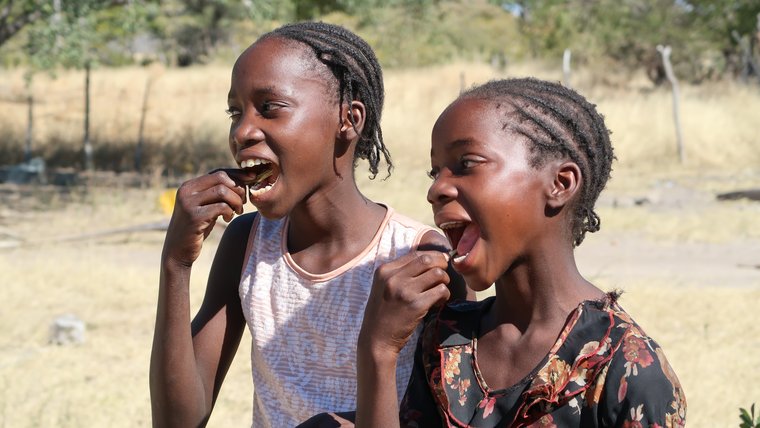 Oshimumu Sticks as Toothbrushes